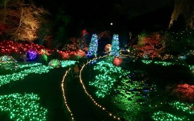 Butchart Gardens: the Magic of Christmas