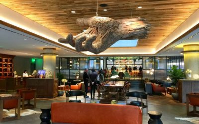 The Maven Hotel, Denver