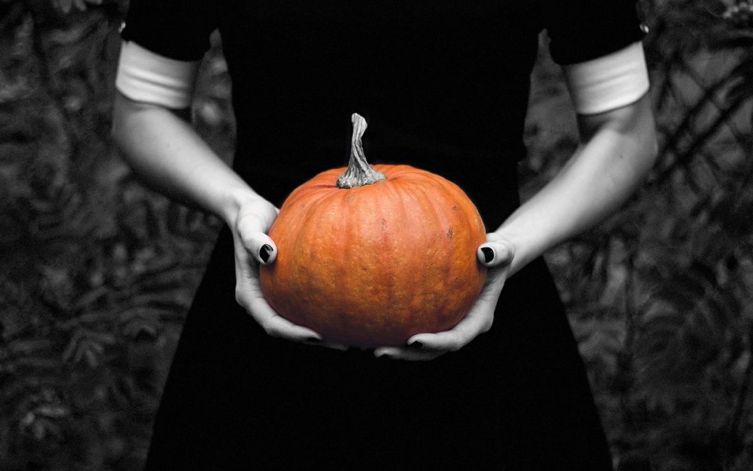 Halloween Reads: Fun for the Spookiest Day
