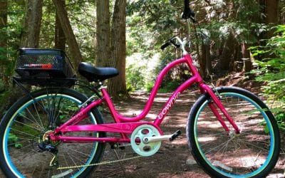 Electra Townie 7 D Step-Through Cruiser Bike
